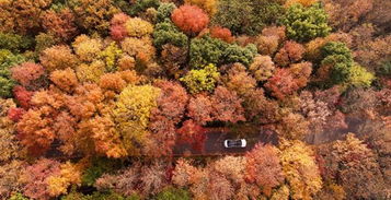 大自然的 調(diào)色盤